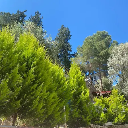 Kaktus Suites 2 Apartman