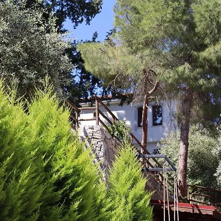 Kaktus Suites 2 Fethiye